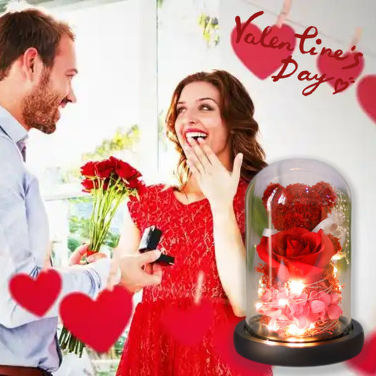Eternal Preserved Rose Gift Box with Teddy & LED Lights